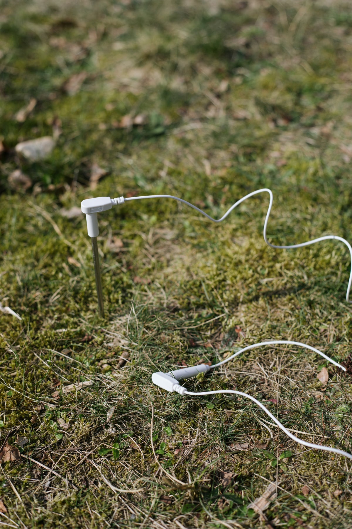 Earthle aardingspin in het gras met de aardingskabel eraan